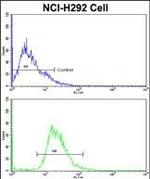 EEF1A1 Antibody in Flow Cytometry (Flow)