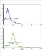 HMGCS1 Antibody in Flow Cytometry (Flow)