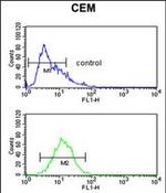 Hemopexin Antibody in Flow Cytometry (Flow)