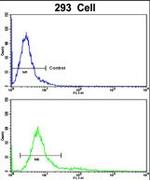 RAB13 Antibody in Flow Cytometry (Flow)