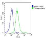 PRAME Antibody in Flow Cytometry (Flow)