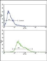 AMHR2 Antibody in Flow Cytometry (Flow)