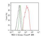 TCCR Antibody in Flow Cytometry (Flow)