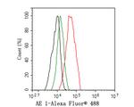 Band 3 Antibody in Flow Cytometry (Flow)