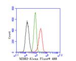 NCoR2 Antibody in Flow Cytometry (Flow)