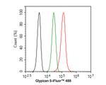 Glypican 5 Antibody in Flow Cytometry (Flow)