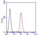 MTHFD2 Antibody in Flow Cytometry (Flow)