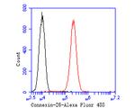 Connexin 26 Antibody in Flow Cytometry (Flow)