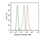 Claudin 18 Antibody in Flow Cytometry (Flow)