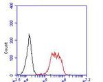 PAX8 Antibody in Flow Cytometry (Flow)