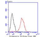 Cytokeratin 19 Antibody in Flow Cytometry (Flow)