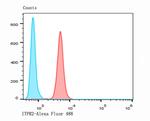 IP3 Receptor 2 Antibody in Flow Cytometry (Flow)