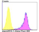 Histone Macro-H2A.1 Antibody in Flow Cytometry (Flow)