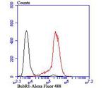 BUBR1 Antibody in Flow Cytometry (Flow)