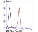 IDO Antibody in Flow Cytometry (Flow)