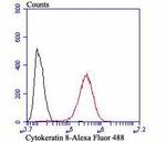 Cytokeratin 8 Antibody in Flow Cytometry (Flow)