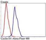 Cyclin D1 Antibody in Flow Cytometry (Flow)