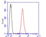 ARF1 Antibody in Flow Cytometry (Flow)