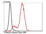 CD62E (E-selectin) Antibody in Flow Cytometry (Flow)