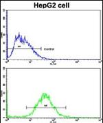 Cyclin A2 Antibody in Flow Cytometry (Flow)