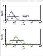 PEDF Antibody in Flow Cytometry (Flow)