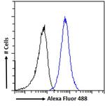 TRIM8 Antibody in Flow Cytometry (Flow)