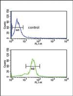 MSRA Antibody in Flow Cytometry (Flow)