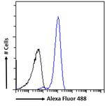 BRG1 Antibody in Flow Cytometry (Flow)