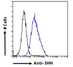 SHH Antibody in Flow Cytometry (Flow)