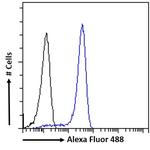 SOX2 Antibody in Flow Cytometry (Flow)