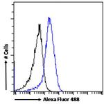 DRD5 Antibody in Flow Cytometry (Flow)