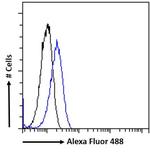 AKT1 Antibody in Flow Cytometry (Flow)