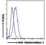 HYAL1 Antibody in Flow Cytometry (Flow)