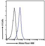 IFNAR2 Antibody in Flow Cytometry (Flow)