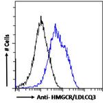 HMGCR Antibody in Flow Cytometry (Flow)