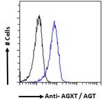 AGXT Antibody in Flow Cytometry (Flow)