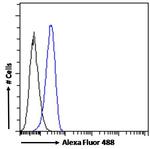 TLR4 Antibody in Flow Cytometry (Flow)