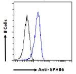 EphB6 Antibody in Flow Cytometry (Flow)