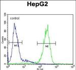 SERPINH1 Antibody in Flow Cytometry (Flow)