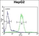 SERPINH1 Antibody in Flow Cytometry (Flow)