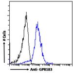 GPR183 Antibody in Flow Cytometry (Flow)