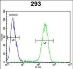 TMPRSS2 Antibody in Flow Cytometry (Flow)