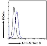 SIRT3 Antibody in Flow Cytometry (Flow)