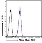 NMNAT3 Antibody in Flow Cytometry (Flow)