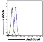 STRA6 Antibody in Flow Cytometry (Flow)