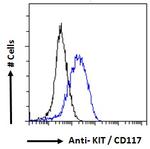 c-Kit Antibody in Flow Cytometry (Flow)