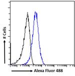 AMHR2 Antibody in Flow Cytometry (Flow)