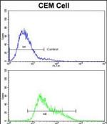 IGHA1 Antibody in Flow Cytometry (Flow)