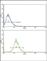 Vitronectin Antibody in Flow Cytometry (Flow)