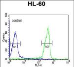 OMD Antibody in Flow Cytometry (Flow)